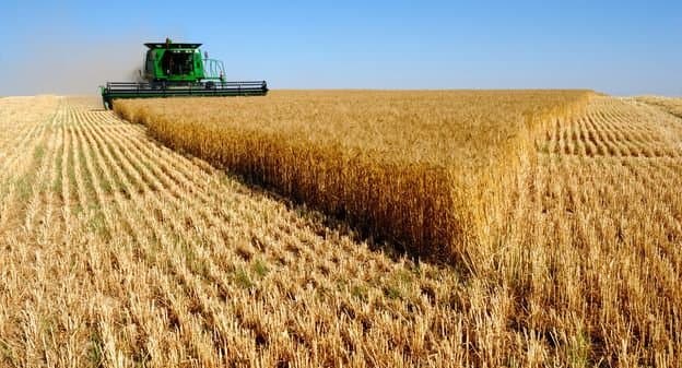 Ukraine : L’Union Européenne veut booster sa production céréalière
