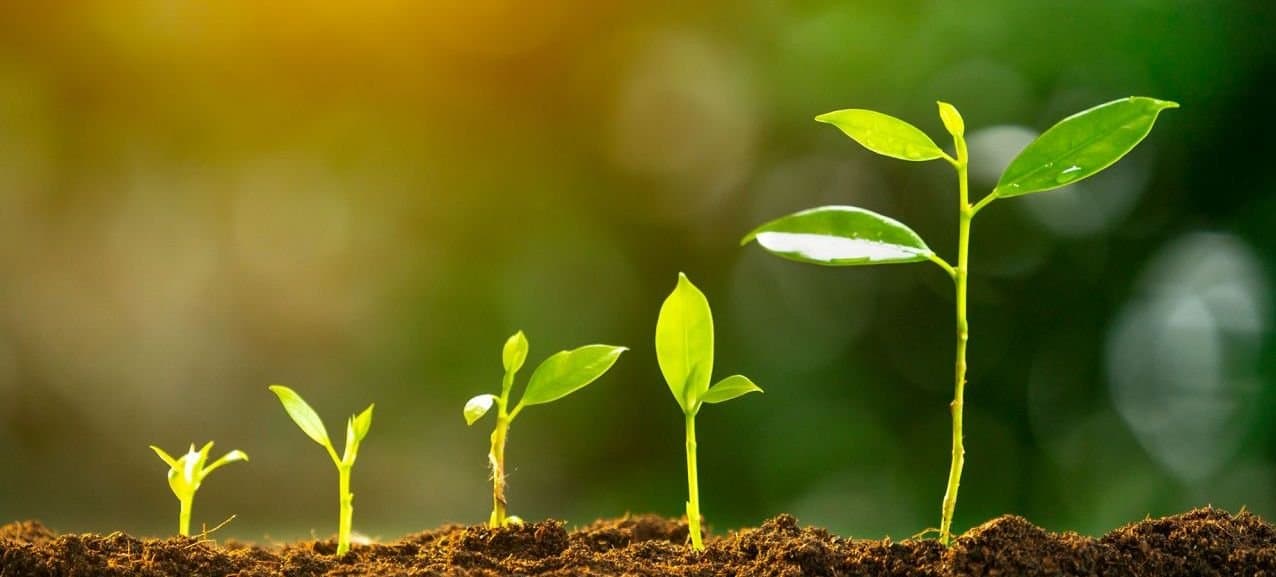 ADA : Vers une nouvelle génération de projets d’agriculture solidaire