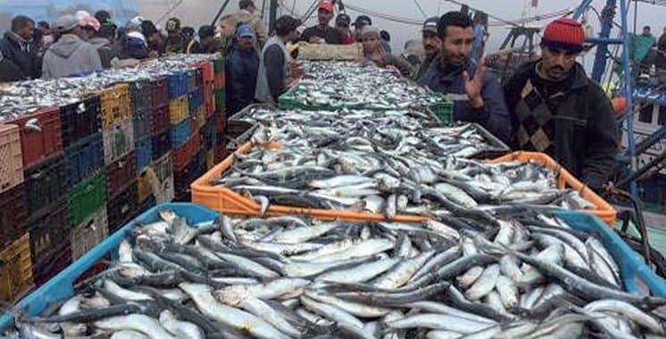 Pêche: la valeur des produits commercialisés grimpe de 19% en février 2022