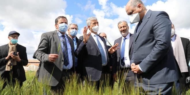 Meknès : Plusieurs projets suivis dont le programme de semis direct pour la campagne agricole 2021-2022