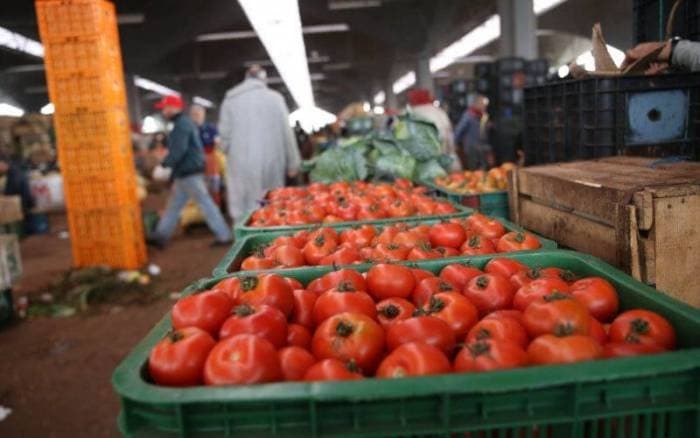 Tomates : Le Maroc devient le second fournisseur au Royaume-Uni