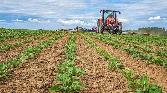 Campagne agricole 2021/2022: Lancement de la campagne d’installation des cultures de printemps dans la Région Rabat Salé Kénitra