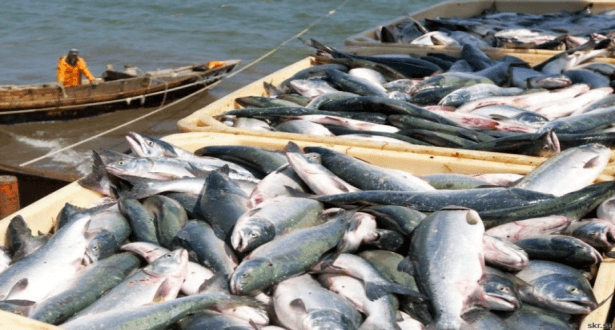 Bruxelles vient en aide aux secteurs de la pêche et de l'aquaculture