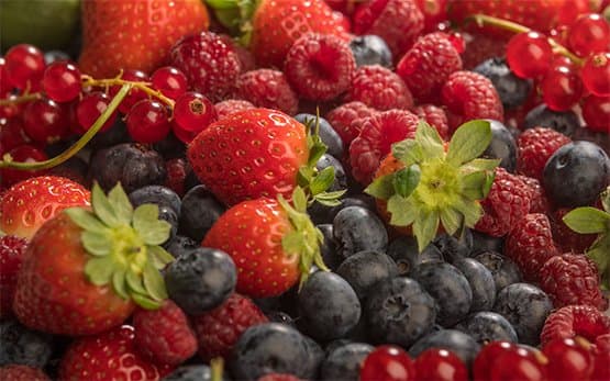 ESPAGNE: De nombreux producteurs envisagent d’arrêter de cultiver des fruits rouges