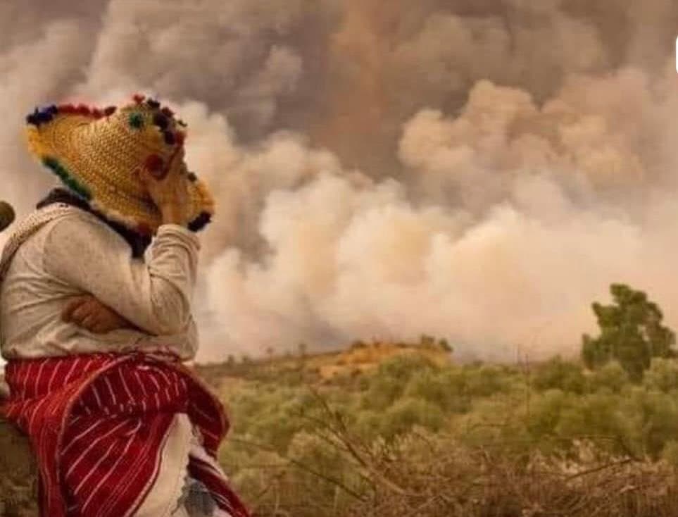 MAROC: LES EFFORTS SE POURSUIVENT POUR MAÎTRISER QUATRE INCENDIES DE FORÊT - VIDEO