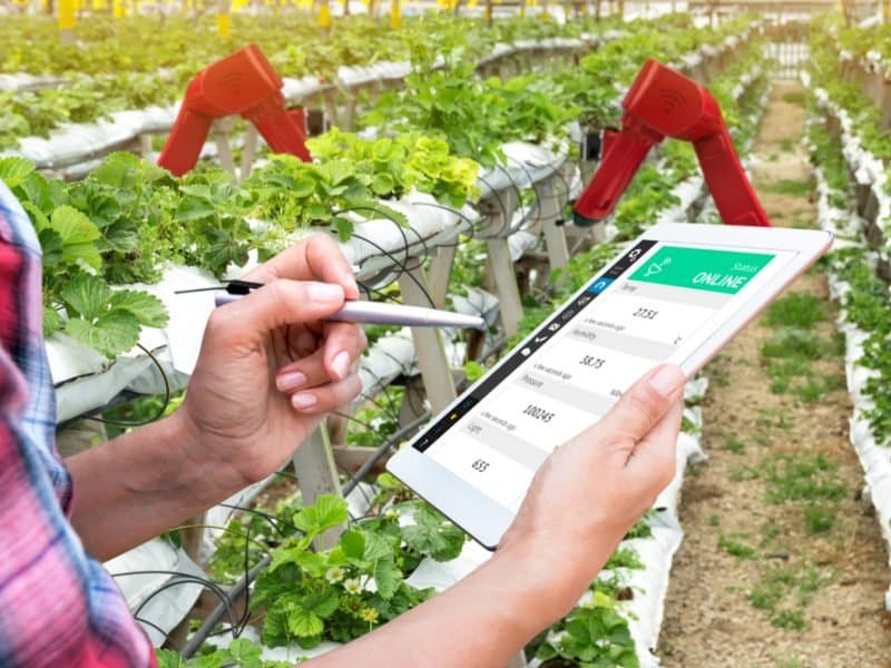Une start-up des Émirats Arabes Unis œuvre pour la sécurité alimentaire au Moyen Orient