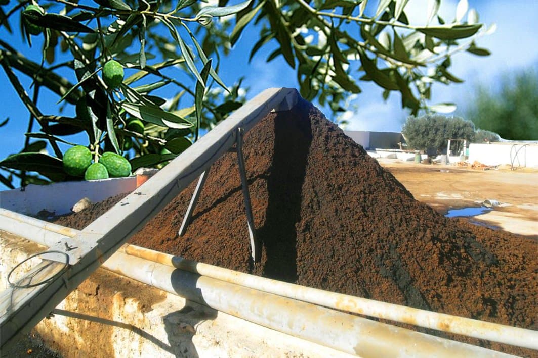 Taounate : Un appel pour l’exploitation d’une unité de valorisation de grignons d’olives