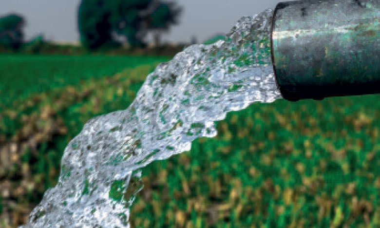 Quelles sont les cultures qui consomment le plus d’eau ?
