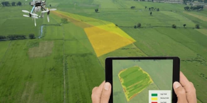 Afrique : Une cartographie numérique des sols en préparation chez la FAO