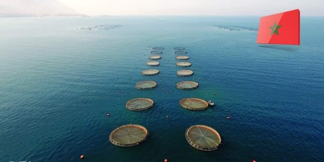 ANDA: accompagnement de l’installation de 290 projets aquacoles en 2021