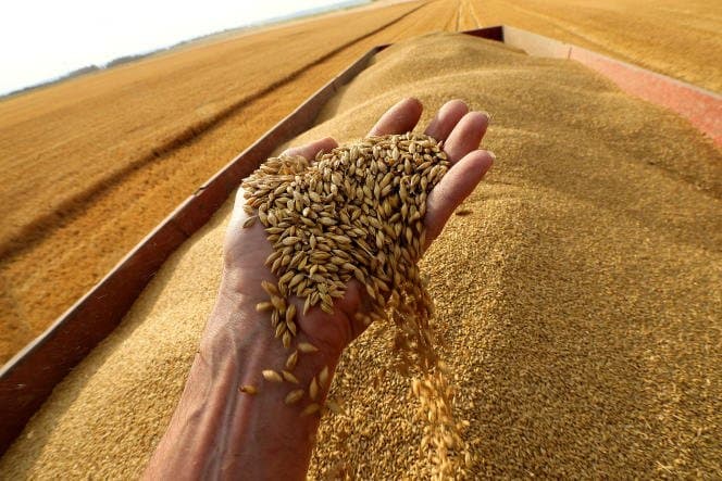 Les prix mondiaux des céréales ont fléchi