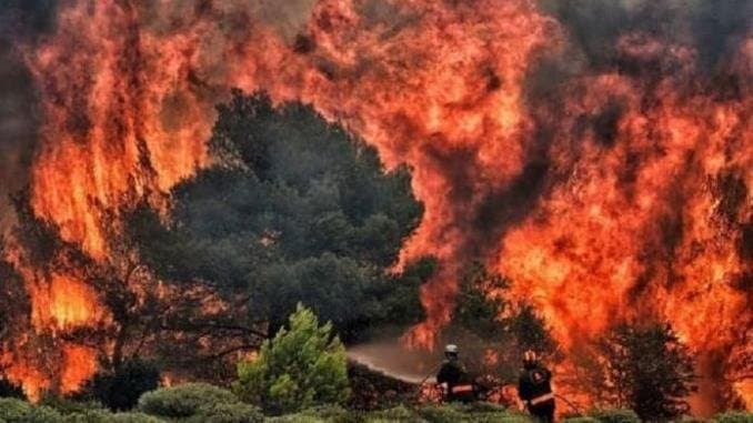 Algérie : « scènes de désolation » après des incendies ayant fait au moins 38 morts - VIDEO