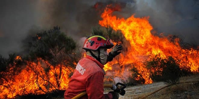 Feu de forêt à M'diq-Fnideq : 3 éléments de la Protection civile décédés