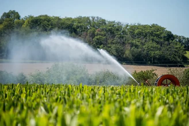 Agriculture: l’usage rationnel et durable des ressources hydriques s’impose plus que jamais !