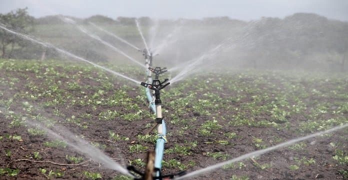 Agriculture: 5 lignes de force pour organiser la montée en puissance