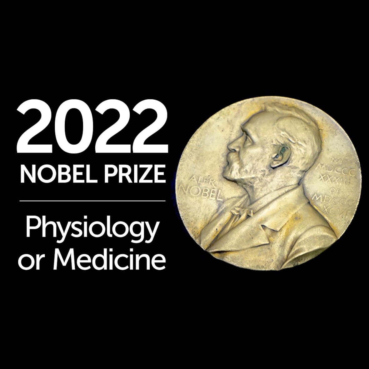 Prix Nobel de médecine: Le Suédois, Svante Pääbo, pionnier de la paléogénomique