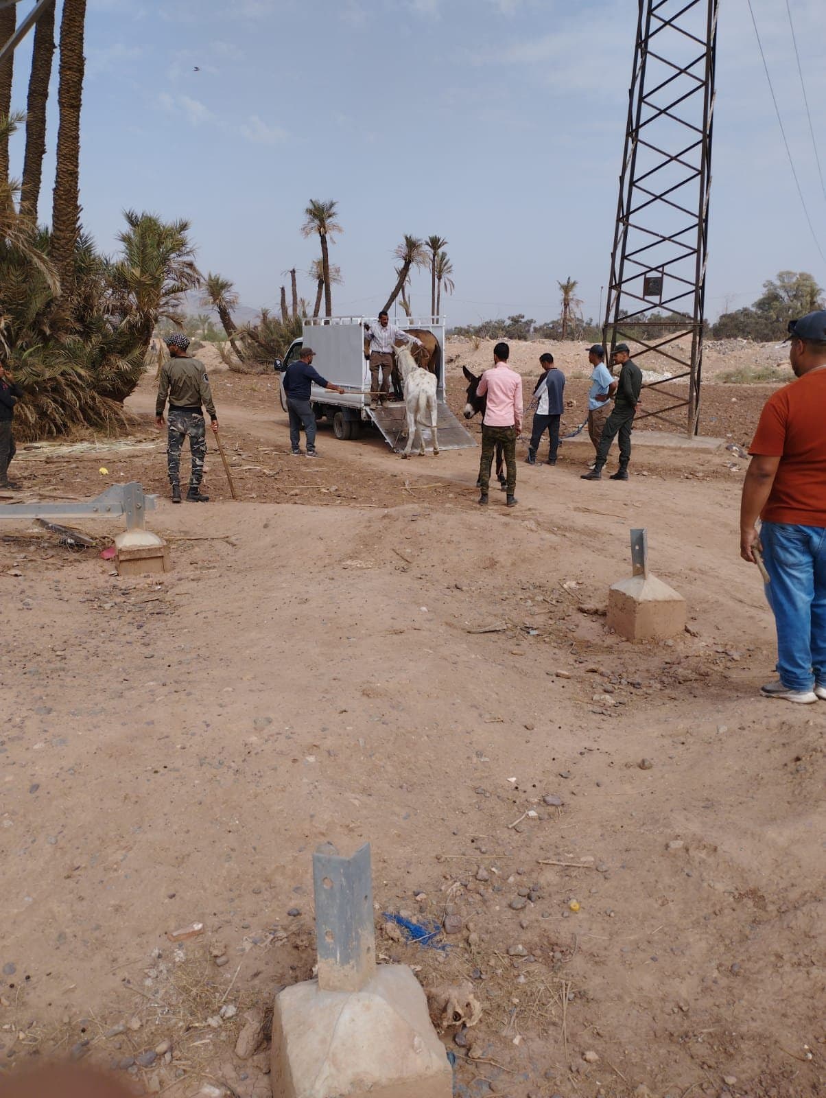 Marrakech....la guerre est désormais déclarée aux charettes des Mikhalas