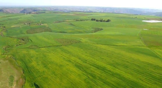 Gharb: une kyrielle de projets de développement agricole en marche