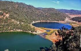 Signature d’une convention de partenariat pour la préservation de la biodiversité du parc national d’Ifrane