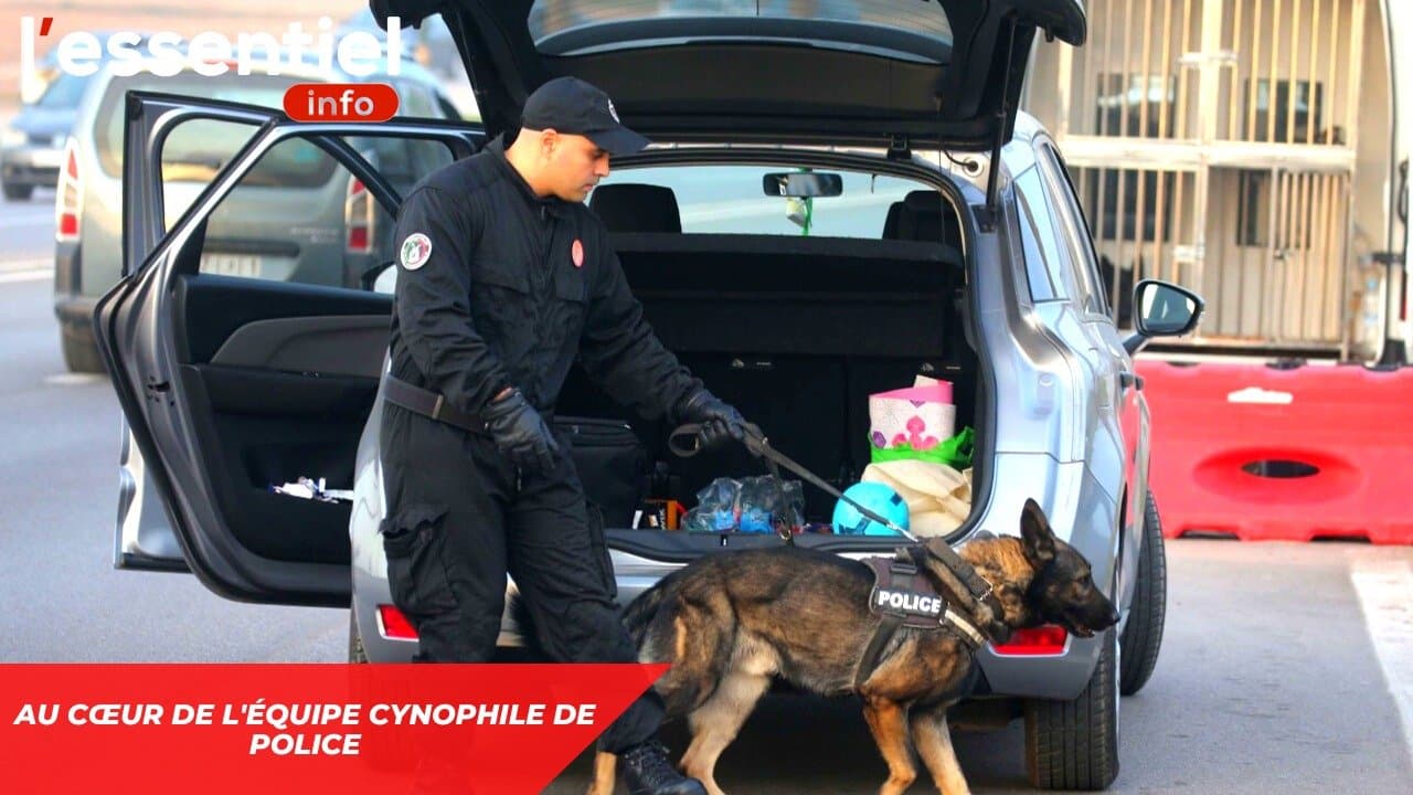Vidéo.. L'équipe Cynophile de police .. préparatifs réveillon 2023
