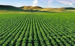 Investissement agricole: Entretiens maroco-émiratis sur les moyens de renforcer la coopération