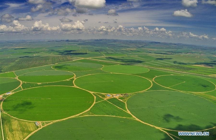 La moitié des « 10 agriculteurs les plus riches du monde » se trouvent en Chine