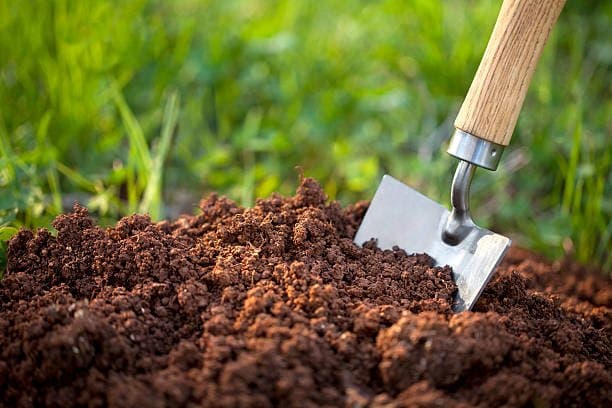 L’Africa Food Show se tiendra bientôt à Casablanca pour sa 5ème édition
