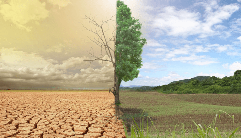 L'Union européenne s'engage financièrement dans un fonds climatique lors de la Conférence de la COP28.