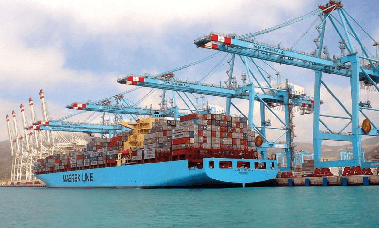 Exportations Marocaines en 2023 : Performances Positives malgré les Défis.