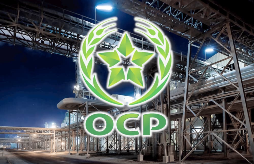 Groupe OCP lance une initiative pour créer une entreprise de sport.