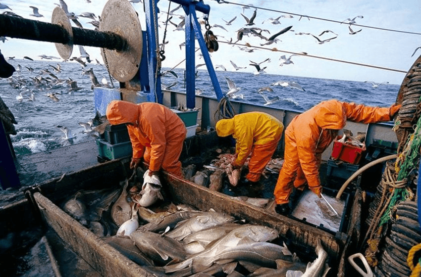 Produits de la pêche : Baisse de 7% des quantités débarquées en 2023.