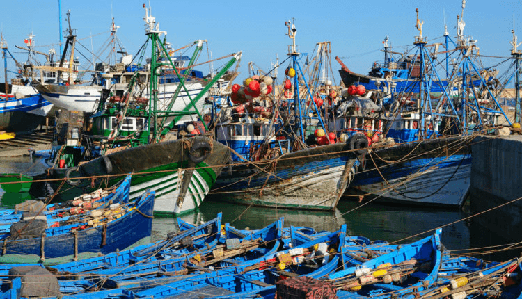  Port de Dakhla : Les débarquements de la pêche en hausse de 14% durant l'année 2023.