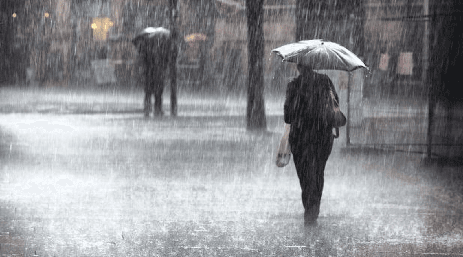 Alerte météo : Chutes de neige et rafales de vent jeudi et vendredi dans plusieurs provinces