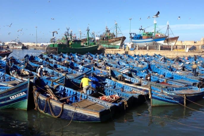 Hausse des débarquements de pêche de 37% à Larache (ONP)