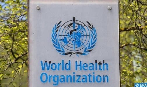 Reconnaissance d'expert : Une responsable de l'Organisation mondiale de la santé salue les efforts du Maroc en matière de sécurité routière.