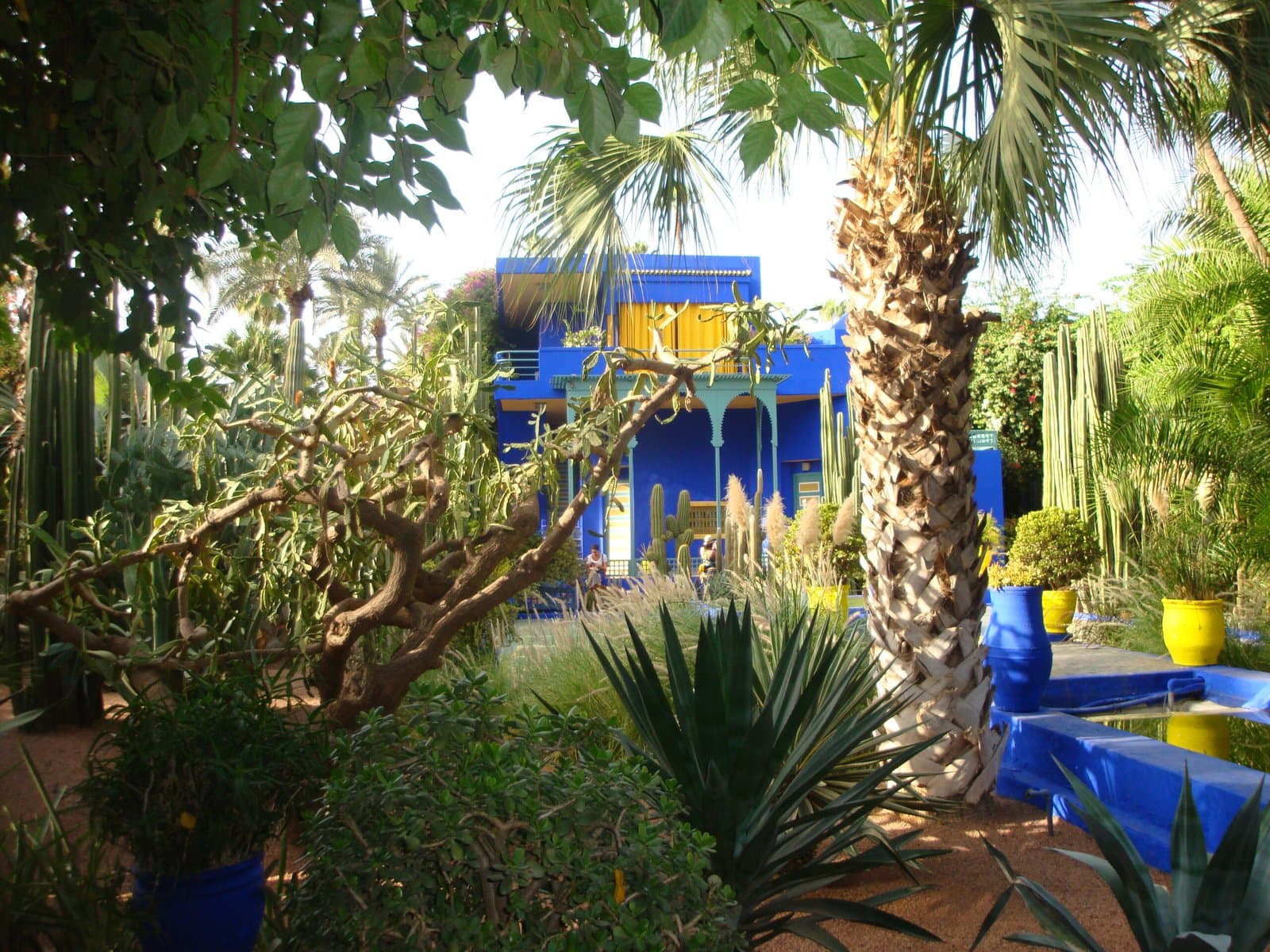 Le Jardin Majorelle fête ses 100 ans à Marrakech