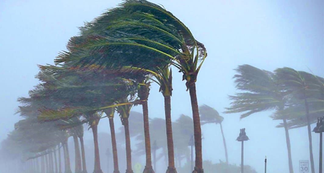Alerte météo : fortes rafales de vent avec chasse-poussières locales vendredi et samedi