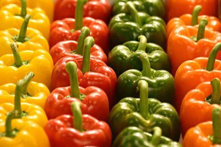 Maroc: Les exportations de poivrons ont augmenté malgré la sécheresse