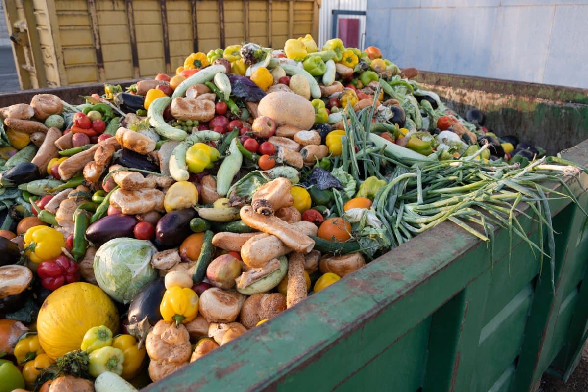 Arabie saoudite: le gaspillage de légumes s'élève à un million de tonnes par an