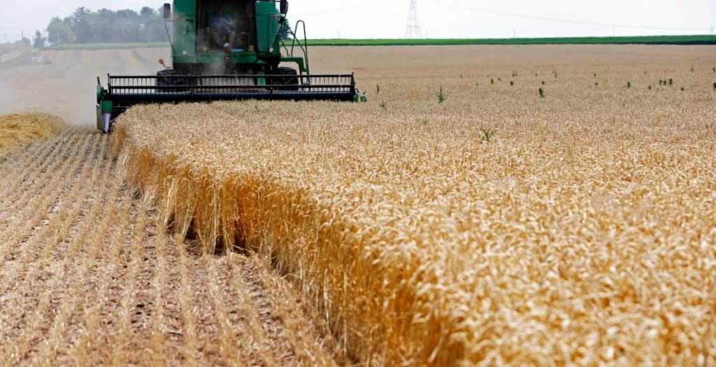 FAO : Une Remontée des Prix Alimentaires Après Trois Années de Baisse