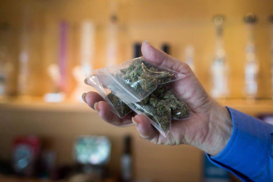 Légalisation du cannabis en Allemagne : les Français pourront-ils en bénéficier ?