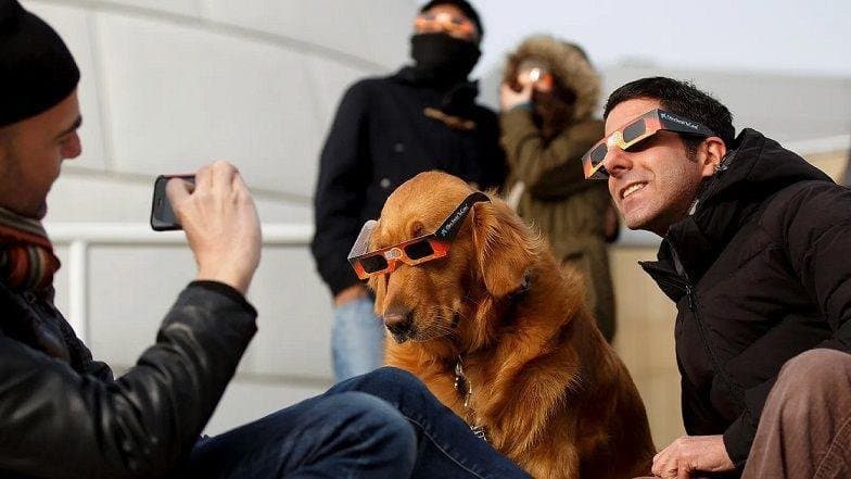 Pourquoi certains animaux s'agitent-ils lors d'une éclipse solaire ?