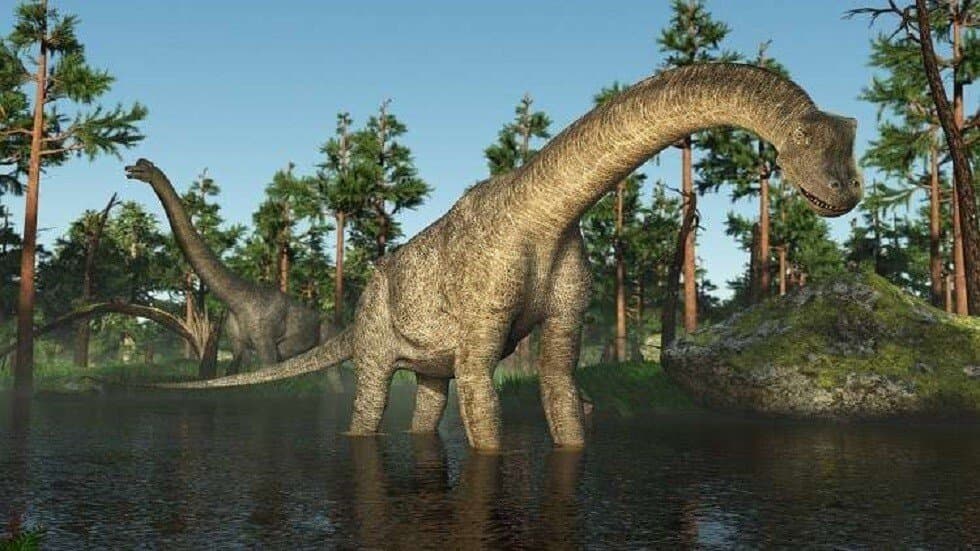La découverte d'un nouveau type de dinosaure herbivore blindé dans la région de Boulemane