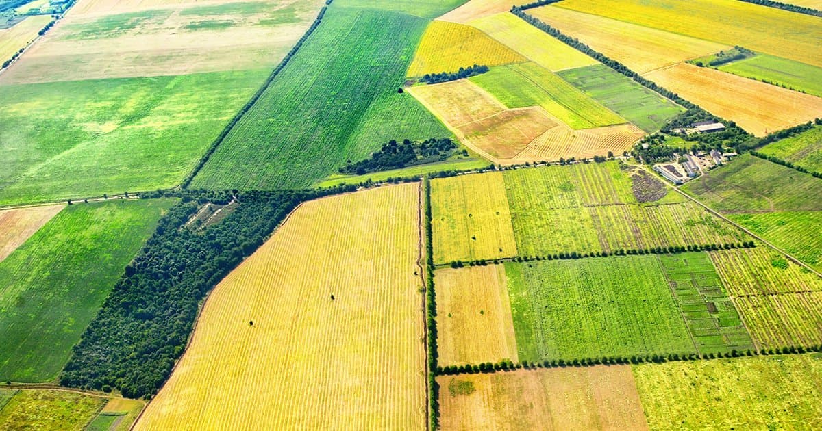 Investissement Émirati dans le Secteur Agricole Marocain