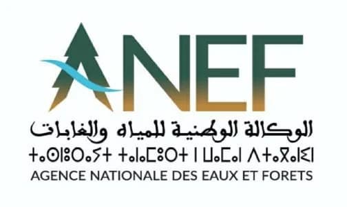 Lancement de la deuxième édition de la compétition "Green Start up"