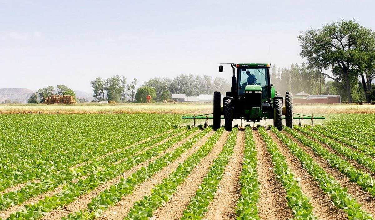 Renforcement du programme agricole de printemps dans la région de Rabat-Salé-Kénitra : succès et défis de la saison agricole 2023/2024