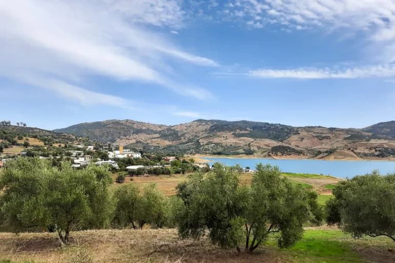 L’agriculture au Maroc… un fort potentiel et de multiples défis