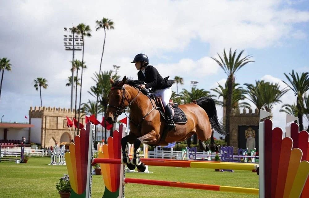 Tétouan : Début des compétitions officielles de la Garde Royale pour le saut d'obstacles 3 étoiles