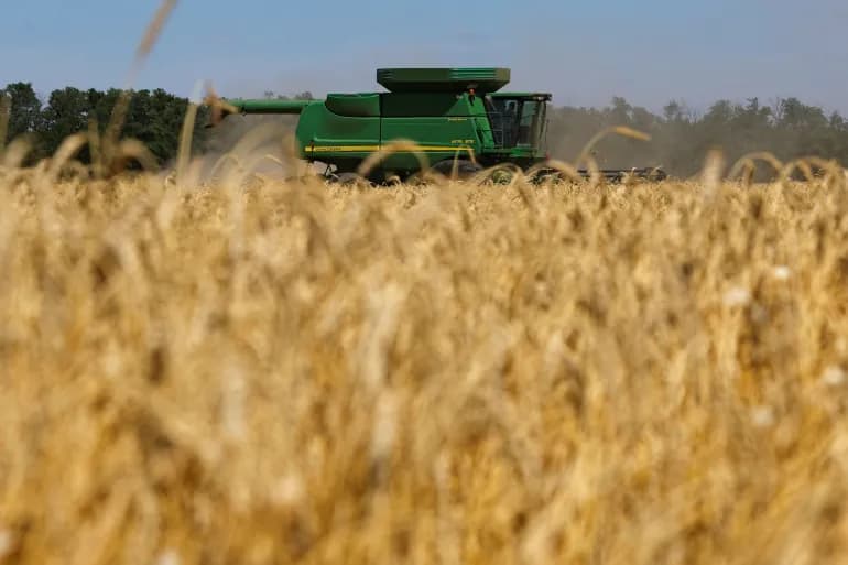 La Russie renforce son contrôle sur le marché des céréales alors que les prix du blé augmentent