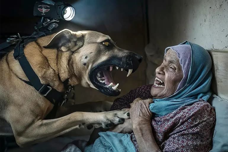 Des images d’un chien israélien attaquant une Palestinienne âgée enflamment les réseaux sociaux